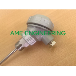 Can nhiệt PT100 20BP6.3D100LL