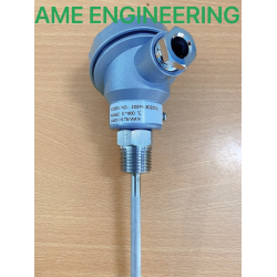 Can nhiệt PT100 20BP6.3D200LL