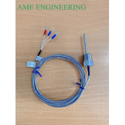 Can nhiệt Pt100 10AP4.8D50LL3.0MS